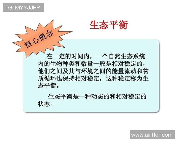 乌栖沙岩与清水的对决探讨自然景观与生态保护的平衡之道