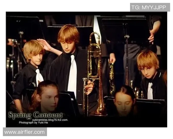 斯通斯的传奇人生与音乐影响力探秘之旅