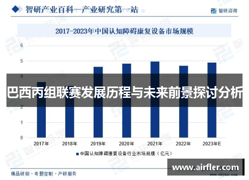 巴西丙组联赛发展历程与未来前景探讨分析